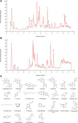 Yinqin Qingfei granules alleviate Mycoplasma pneumoniae pneumonia via inhibiting NLRP3 inflammasome-mediated macrophage pyroptosis